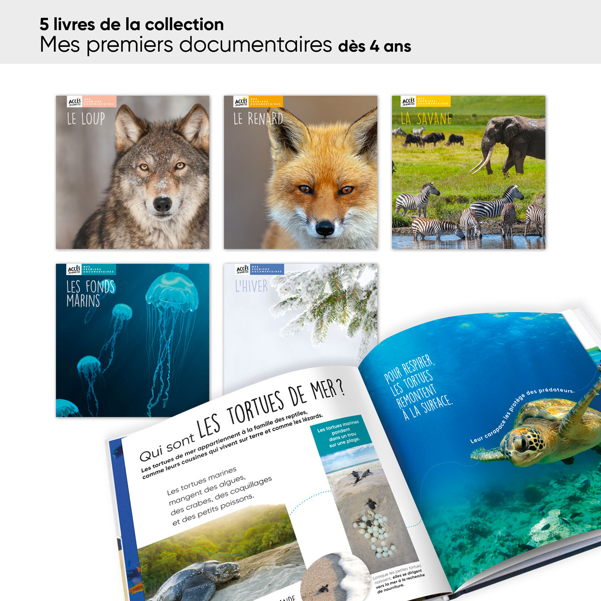 Autour des livres ms lot 24 livres premiers documentaires acces jeunesse
