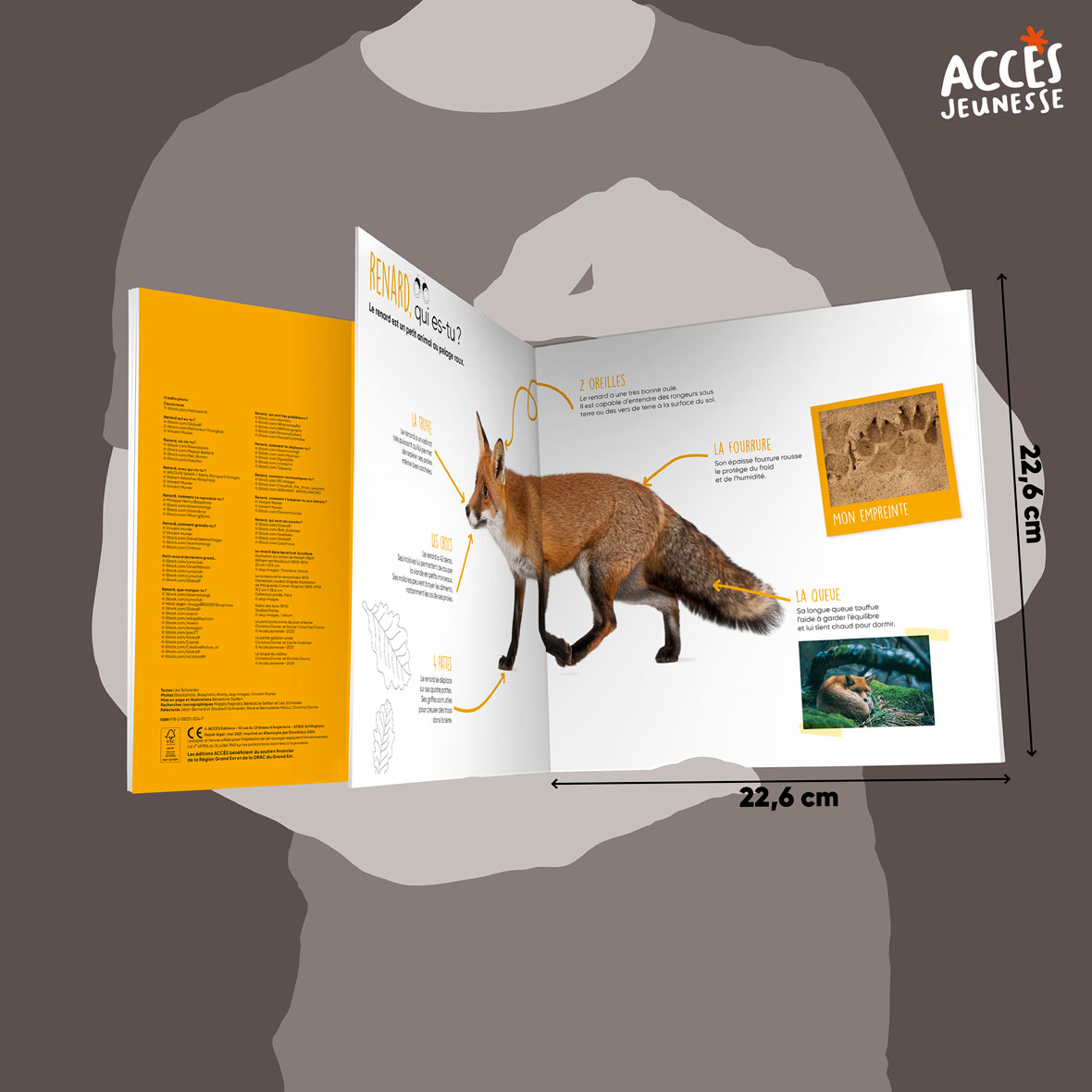 Documentaire le renard miniature acces jeunesse