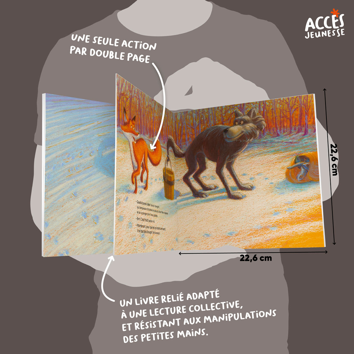 Le loup et le renard miniature acces jeunesse