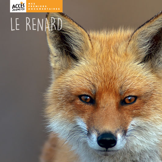 Couverture du livre photo Le renard de la collection Mes premiers documentaires d'ACCÈS Jeunesse illustrée par une photo de renard.