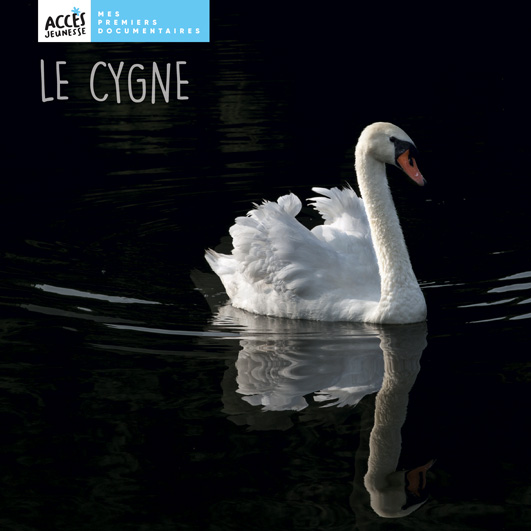 Couverture du livre photo Le cygne de la collection Mes premiers documentaires d'ACCÈS Jeunesse illustrée par une photo de cygne sur l'eau.
