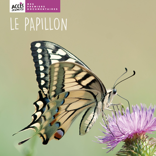 Couverture du livre photo Le papillon de la collection Mes premiers documentaires d'ACCÈS Jeunesse illustrée.