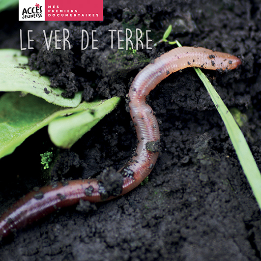 Couverture du livre photo Le ver de terre de la collection Mes Premiers Documentaires d'ACCÈS Jeunesse.